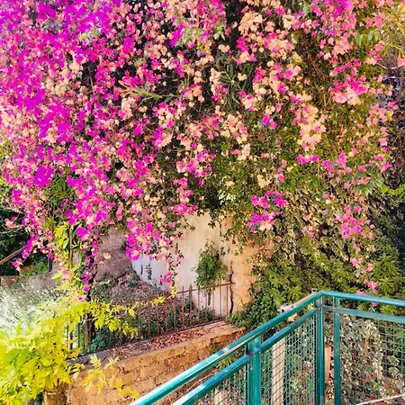 House 10 Minutes Walk From Vatican * Rom